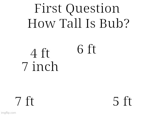 How Tall Is Bub? First Question; 6 ft; 4 ft 7 inch; 7 ft; 5 ft | made w/ Imgflip meme maker