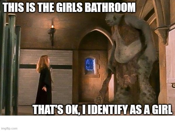 Gender Equality | THIS IS THE GIRLS BATHROOM; THAT'S OK, I IDENTIFY AS A GIRL | image tagged in transgender bathroom | made w/ Imgflip meme maker
