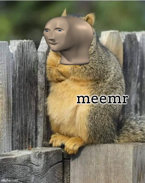 Annoyed Squirrel | meemr | image tagged in annoyed squirrel | made w/ Imgflip meme maker