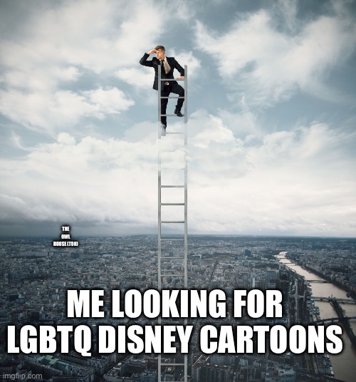 searching | THE OWL HOUSE (TOH); ME LOOKING FOR LGBTQ DISNEY CARTOONS | image tagged in searching,the owl house,lol,disney | made w/ Imgflip meme maker