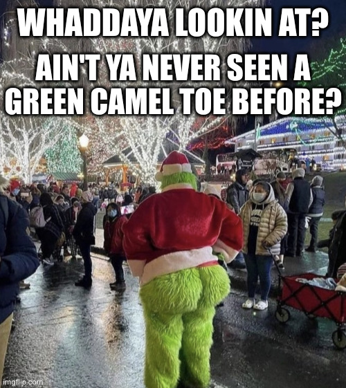 THICC grinch | WHADDAYA LOOKIN AT? AIN'T YA NEVER SEEN A
GREEN CAMEL TOE BEFORE? | image tagged in thicc grinch | made w/ Imgflip meme maker