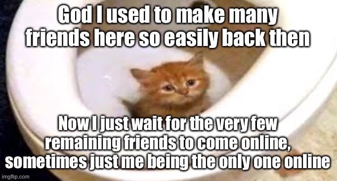 Toilet cat | God I used to make many friends here so easily back then; Now I just wait for the very few remaining friends to come online, sometimes just me being the only one online | image tagged in toilet cat | made w/ Imgflip meme maker