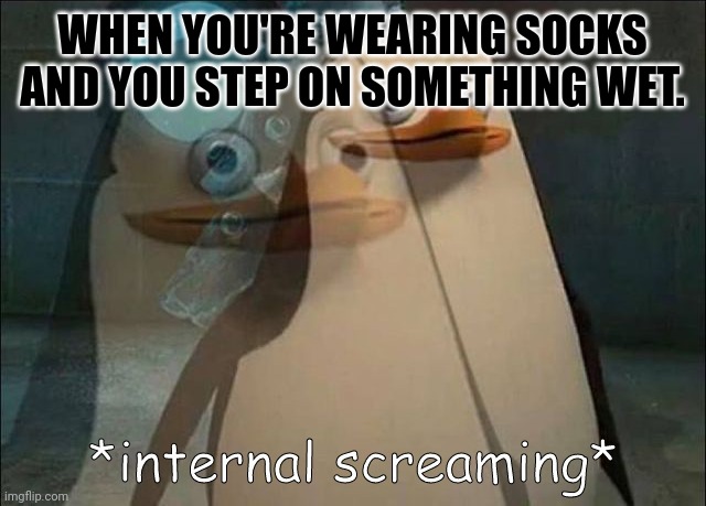 Does this ever happened to you? | WHEN YOU'RE WEARING SOCKS AND YOU STEP ON SOMETHING WET. | image tagged in private internal screaming | made w/ Imgflip meme maker