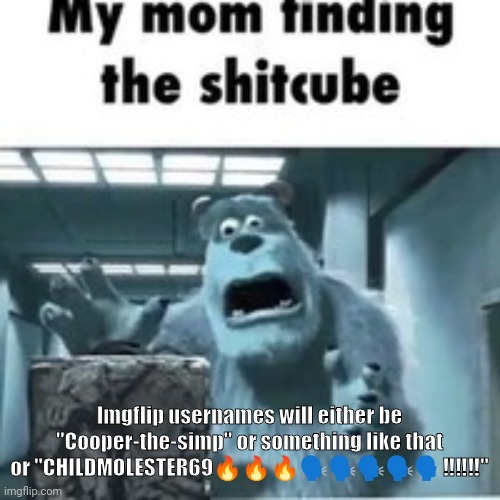my mom finding the shitcube | Imgflip usernames will either be "Cooper-the-simp" or something like that or "CHILDMOLESTER69🔥🔥🔥🗣️🗣️🗣️🗣️🗣️‼️‼️‼️" | image tagged in my mom finding the shitcube | made w/ Imgflip meme maker
