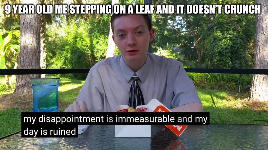 My Disappointment Is Immeasurable | 9 YEAR OLD ME STEPPING ON A LEAF AND IT DOESN’T CRUNCH | image tagged in my disappointment is immeasurable | made w/ Imgflip meme maker