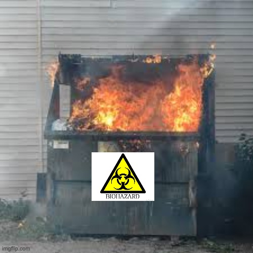 Dumpster Fire | image tagged in dumpster fire | made w/ Imgflip meme maker