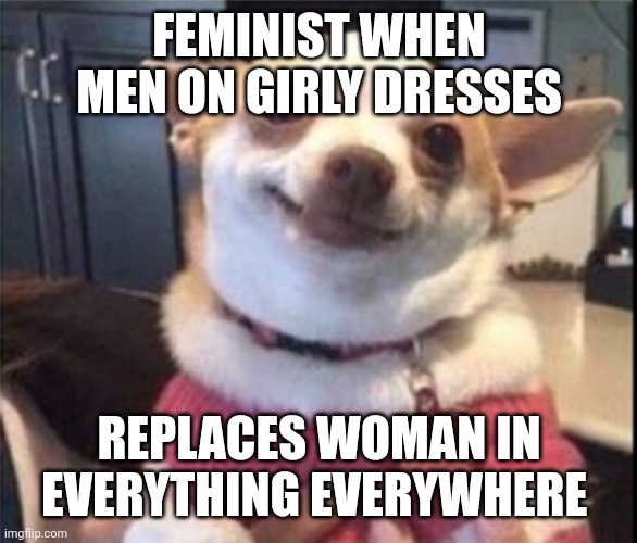 happy dog | FEMINIST WHEN MEN ON GIRLY DRESSES REPLACES WOMAN IN EVERYTHING EVERYWHERE | image tagged in happy dog | made w/ Imgflip meme maker