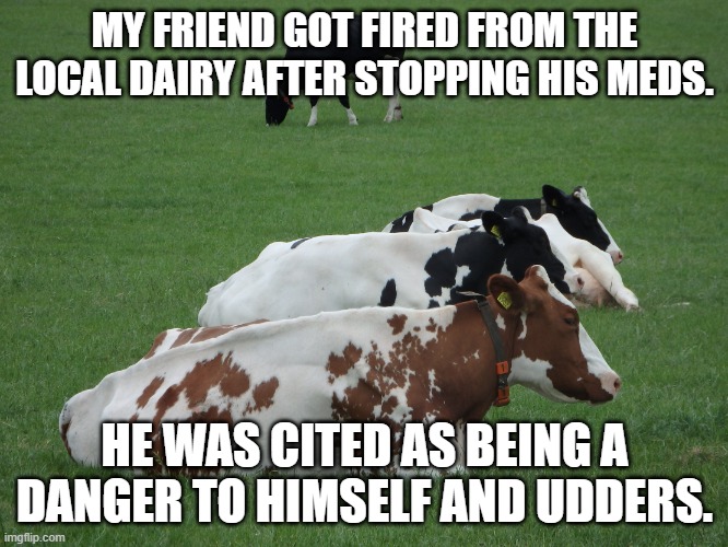 Dairy farm fun | MY FRIEND GOT FIRED FROM THE LOCAL DAIRY AFTER STOPPING HIS MEDS. HE WAS CITED AS BEING A DANGER TO HIMSELF AND UDDERS. | image tagged in more milk | made w/ Imgflip meme maker