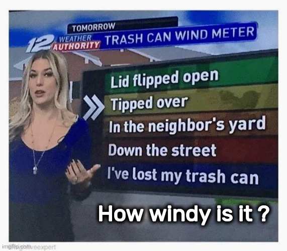 Life in Suburbia | How windy is it ? | image tagged in weather,tell me the truth i'm ready to hear it,windy,too damn high,hold my beer | made w/ Imgflip meme maker