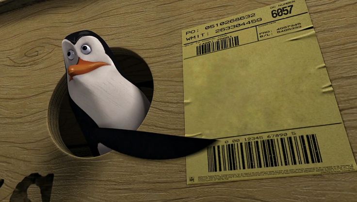 Penguins Blank Meme Template