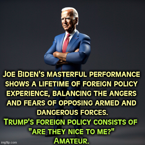 Joe Biden's masterful performance 
shows a lifetime of foreign policy 
experience, balancing the angers 
and fears of opposing armed and 
dangerous forces. Trump's foreign policy consists of 
"are they nice to me?"
Amateur. | image tagged in joe biden,foreign policy,master,trump,amateur | made w/ Imgflip meme maker