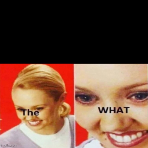 The What | image tagged in the what | made w/ Imgflip meme maker