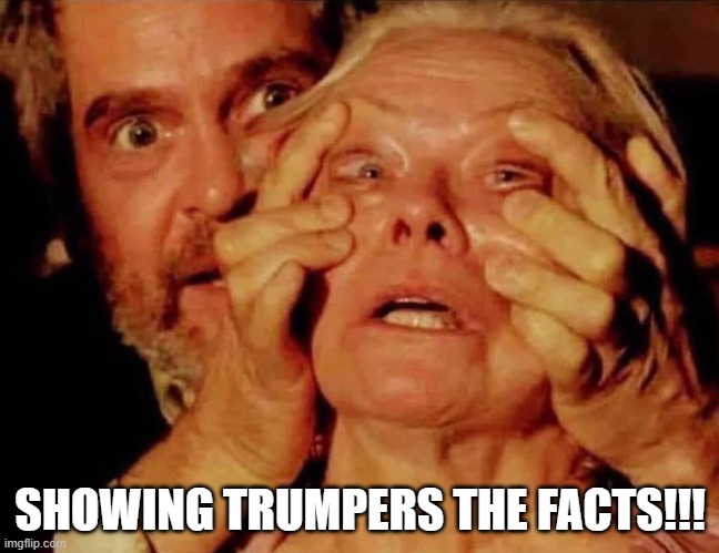 Showing The Facts | SHOWING TRUMPERS THE FACTS!!! | image tagged in trump,facts | made w/ Imgflip meme maker