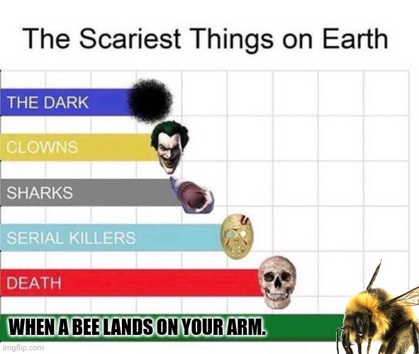 All Can Do Is Just Stare At It And Hope It Flies Off | WHEN A BEE LANDS ON YOUR ARM. | image tagged in scariest things in the world | made w/ Imgflip meme maker