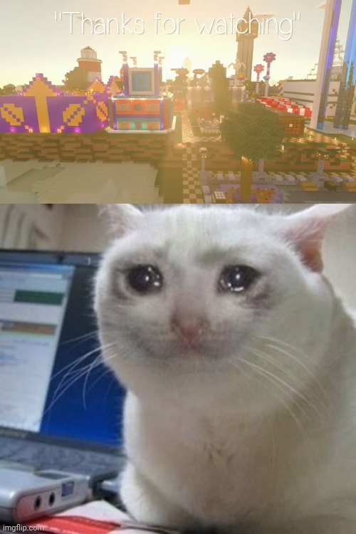 Crying cat | image tagged in crying cat,minecraft,minecraft memes,nostalgia,youtube,youtuber | made w/ Imgflip meme maker