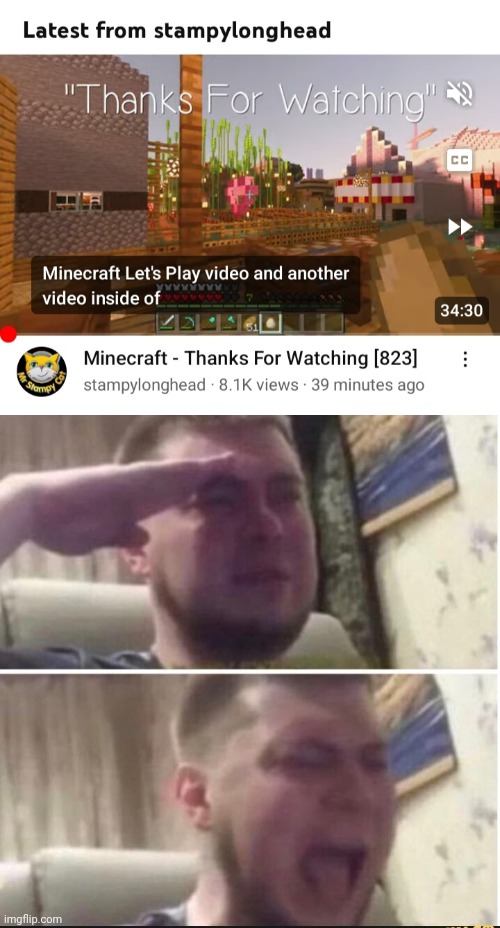 See you later king | image tagged in stampy last video,crying salute | made w/ Imgflip meme maker