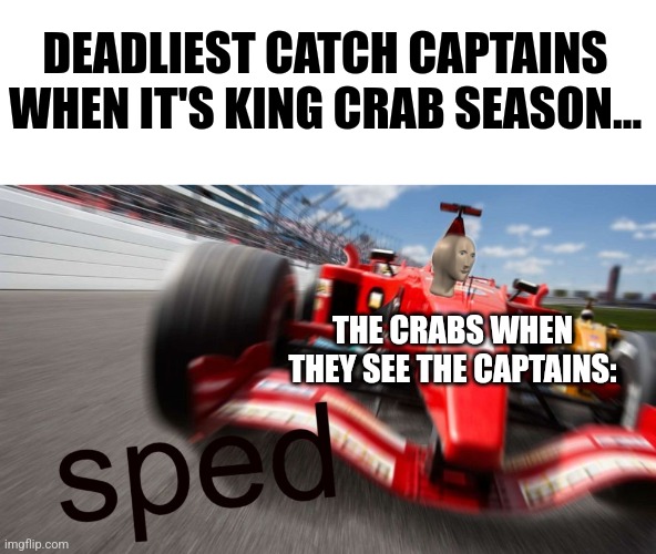 It's king crab season!!! | DEADLIEST CATCH CAPTAINS WHEN IT'S KING CRAB SEASON... THE CRABS WHEN THEY SEE THE CAPTAINS: | image tagged in sped,deadliest catch | made w/ Imgflip meme maker