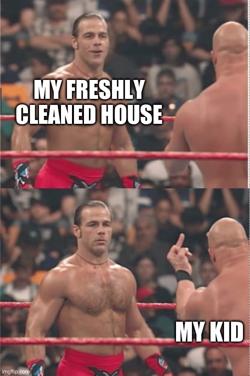 Clean house | MY FRESHLY CLEANED HOUSE; MY KID | image tagged in hbk austin middle finger | made w/ Imgflip meme maker