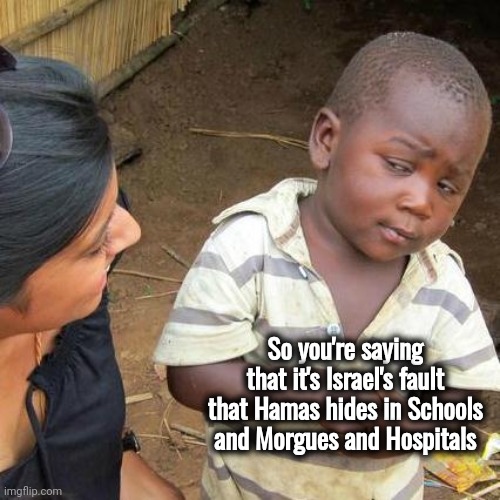 Who started it ? | So you're saying that it's Israel's fault that Hamas hides in Schools and Morgues and Hospitals | image tagged in memes,third world skeptical kid,terrorism,stop it,collateral damage,i see dead people | made w/ Imgflip meme maker