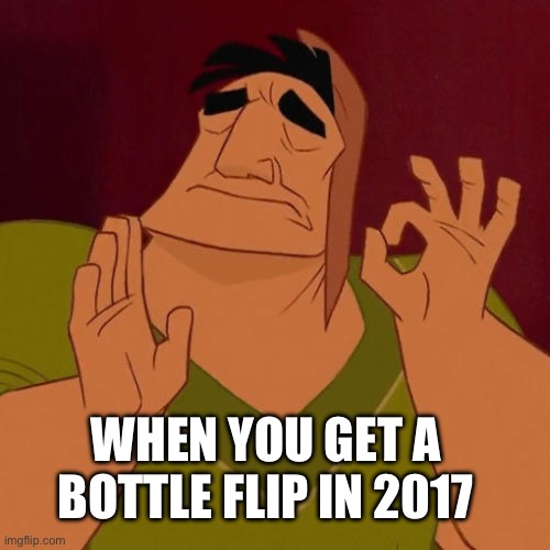 When X just right | WHEN YOU GET A BOTTLE FLIP IN 2017 | image tagged in when x just right | made w/ Imgflip meme maker