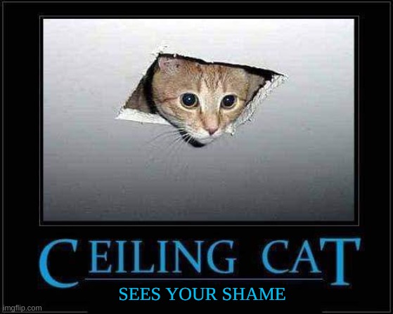 Ceiling Cat Still Watching | SEES YOUR SHAME | image tagged in ceiling cat,cat,watching,shame,shocked,ewwww | made w/ Imgflip meme maker