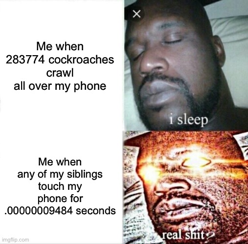 Sleeping Shaq Meme | Me when 283774 cockroaches crawl all over my phone; Me when any of my siblings touch my phone for .00000009484 seconds | image tagged in memes,sleeping shaq | made w/ Imgflip meme maker