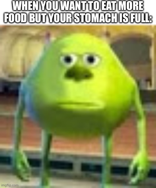 Has anyone ever related? | WHEN YOU WANT TO EAT MORE FOOD BUT YOUR STOMACH IS FULL: | image tagged in sully wazowski | made w/ Imgflip meme maker