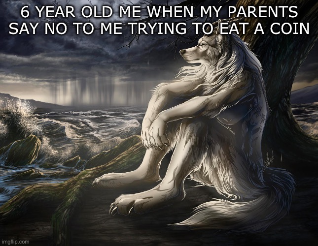 Sitting Wolf | 6 YEAR OLD ME WHEN MY PARENTS SAY NO TO ME TRYING TO EAT A COIN | image tagged in sitting wolf | made w/ Imgflip meme maker