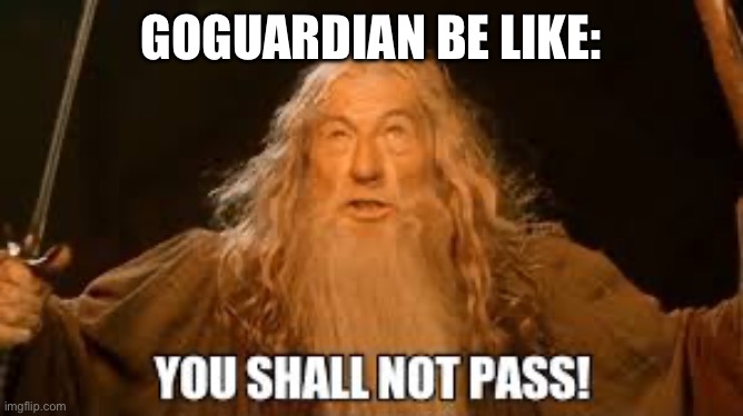 GOGUARDIAN BE LIKE: | image tagged in gandalf,goguardian | made w/ Imgflip meme maker