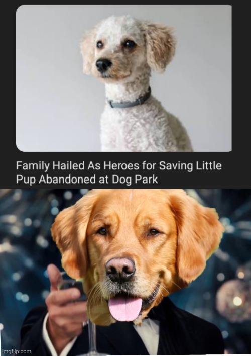 Dog park | image tagged in dog cheers,dog,park,heroes,memes,dogs | made w/ Imgflip meme maker