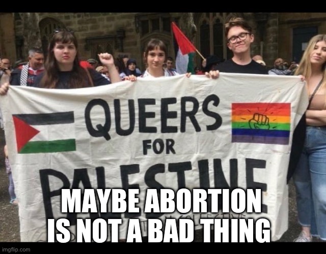 Abortion | MAYBE ABORTION IS NOT A BAD THING | image tagged in lgbtq,abortion,israel,palestine | made w/ Imgflip meme maker
