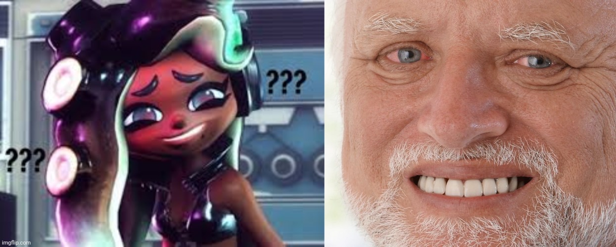 image tagged in confused marina,hide the pain harold | made w/ Imgflip meme maker