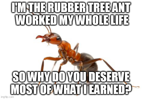 YOU DESERVE JACK | I'M THE RUBBER TREE ANT
 WORKED MY WHOLE LIFE; SO WHY DO YOU DESERVE MOST OF WHAT I EARNED? | image tagged in entitlement,laziness,marxism | made w/ Imgflip meme maker