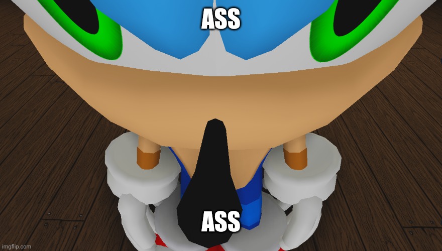 sonic being sonic | ASS ASS | image tagged in sonic being sonic | made w/ Imgflip meme maker