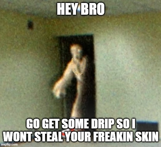 drippy skinstealer | HEY BRO; GO GET SOME DRIP SO I WONT STEAL YOUR FREAKIN SKIN | image tagged in drippy skinstealer | made w/ Imgflip meme maker