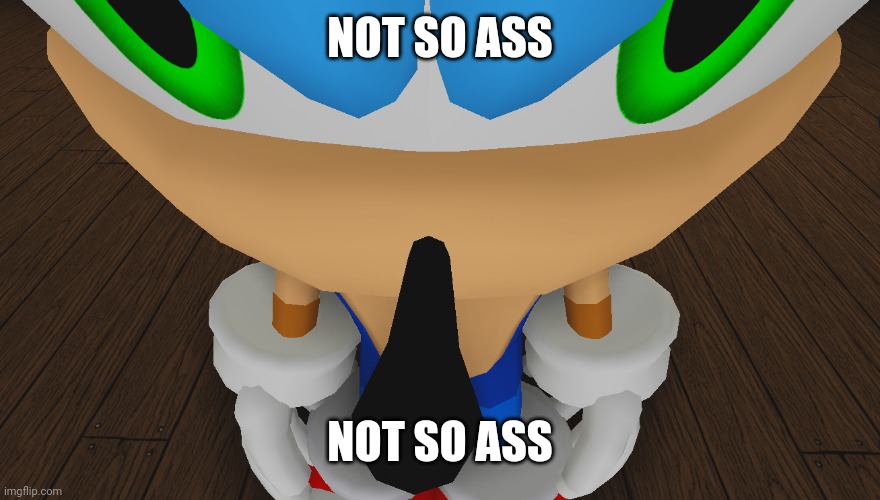 sonic being sonic | NOT SO ASS NOT SO ASS | image tagged in sonic being sonic | made w/ Imgflip meme maker