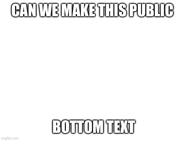 e | CAN WE MAKE THIS PUBLIC; BOTTOM TEXT | image tagged in e | made w/ Imgflip meme maker