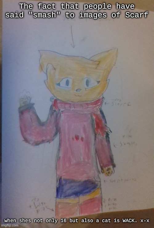 also,new drawing of Scarf. like it? | The fact that people have said "smash" to images of Scarf; when shes not only 16 but also a cat is WACK. x-x | image tagged in scarf alt casual outfit drawn by scarf | made w/ Imgflip meme maker