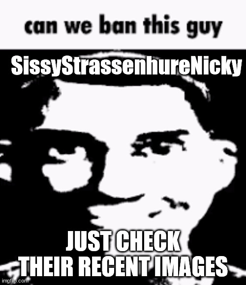 Can we ban this guy | SissyStrassenhureNicky; JUST CHECK THEIR RECENT IMAGES | image tagged in can we ban this guy | made w/ Imgflip meme maker