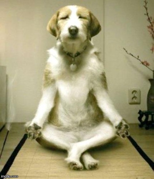 Inner Peace Dog | image tagged in inner peace dog | made w/ Imgflip meme maker