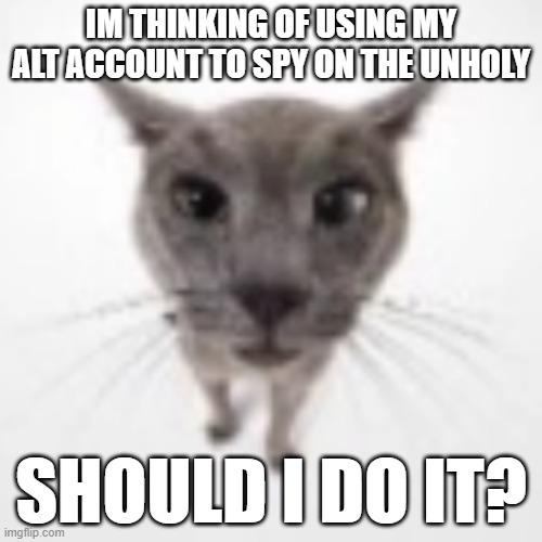 Its dad_owner btw | IM THINKING OF USING MY ALT ACCOUNT TO SPY ON THE UNHOLY; SHOULD I DO IT? | image tagged in goofy ahh cat,cats,crusader,unholy,man of god | made w/ Imgflip meme maker