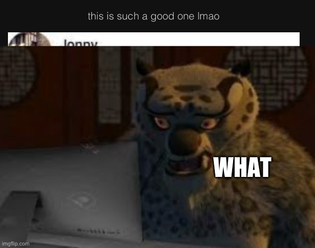 WHAT | image tagged in tai lung | made w/ Imgflip meme maker