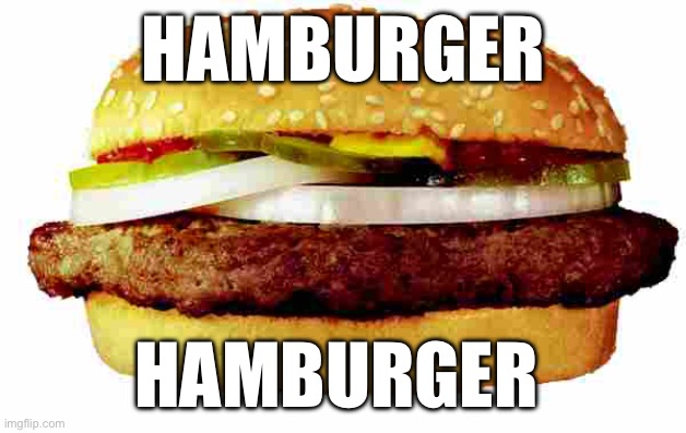 Hamburger | HAMBURGER; HAMBURGER | image tagged in hamburger | made w/ Imgflip meme maker