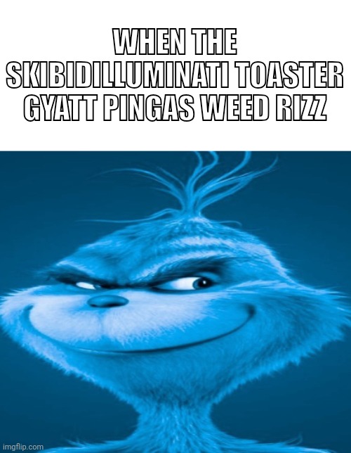 The blue grinch | WHEN THE SKIBIDILLUMINATI TOASTER GYATT PINGAS WEED RIZZ | image tagged in the blue grinch | made w/ Imgflip meme maker