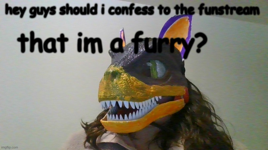 comment your answer | that im a furry? hey guys should i confess to the funstream | made w/ Imgflip meme maker