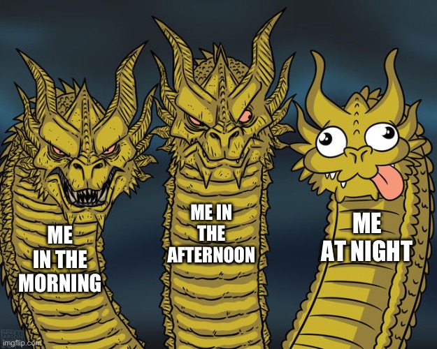 Three-headed Dragon | ME IN THE AFTERNOON; ME AT NIGHT; ME IN THE MORNING | image tagged in three-headed dragon | made w/ Imgflip meme maker