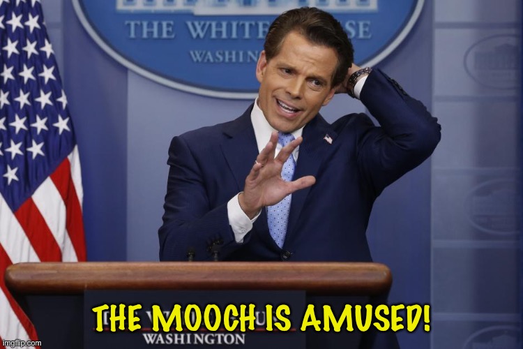 Scaramucci | THE MOOCH IS AMUSED! | image tagged in scaramucci | made w/ Imgflip meme maker