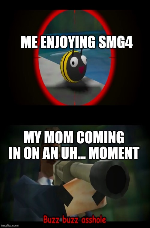 Anyone else? | ME ENJOYING SMG4; MY MOM COMING IN ON AN UH... MOMENT | image tagged in swagmaster69 attempting to shoot a bee | made w/ Imgflip meme maker
