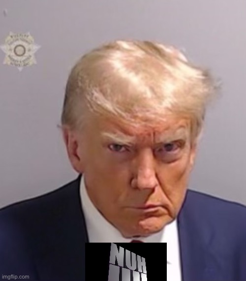 Donald Trump Mugshot | image tagged in donald trump mugshot | made w/ Imgflip meme maker