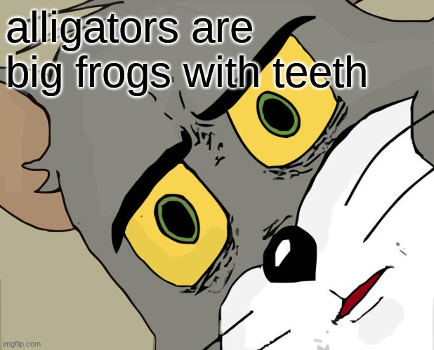 oh | alligators are big frogs with teeth | image tagged in memes,unsettled tom,first page | made w/ Imgflip meme maker